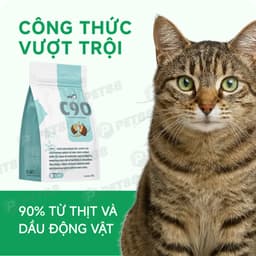 Combo hạt PETQ 1KG+6 lon pate MRVET 400g phát triển toàn diện cho mèo mọi lừa tuổi-Méo Chò Uni 5