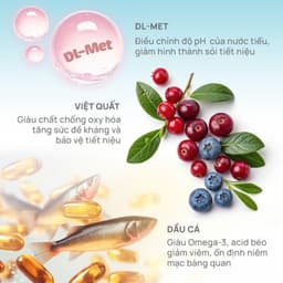 Combo hạt PETQ 1KG+6 lon pate MRVET 400g phát triển toàn diện cho mèo mọi lừa tuổi-Méo Chò Uni 6