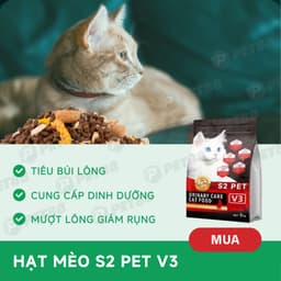 Combo hạt S2PET 1KG+50 súp thưởng S2PET siêu topping kích thích thèm ăn cho mèo-Méo Chò Uni 7