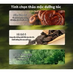 XÀ PHÒNG GỘI ĐẦU THẢO MỘC HÀ THỦ Ô – LÀM SẠCH DA ĐẦU, DƯỠNG TÓC MỀM 5
