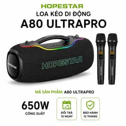 Loa Karaoke Bluetooth Hopestar A80 Ultra Pro 650W PMPO Kèm 2 Micro Không Dây, Bluetooth 5.4, Pin 40000mAh, Chống Nước 1