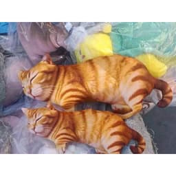 Gấu Bông Heo 3D siêu thực, gấu bông lợn độc đáo - quà tặng vui cho bạn bè, người thân 9