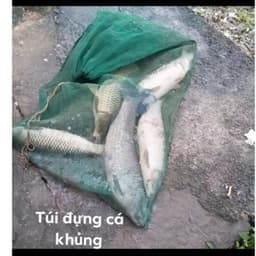 (Sale) Túi Lưới Dây Rút Đựng Cá Lớn .Túi 90x1m8 ô lưới 5li, sợi cước dầy bền đẹp 4