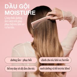 [Quà Tặng Không Bán] Dầu Gội & Dầu Xả MONDAY 50ml 8