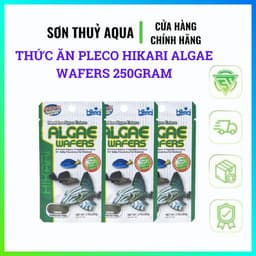 Thức ăn Pleco Hikari Algae Wafers 250gram | Cá tầng đáy, Pleco, cá chuột 2
