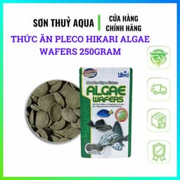 Thức ăn Pleco Hikari Algae Wafers 250gram | Cá tầng đáy, Pleco, cá chuột 1