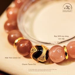 Ngọc Đan Tâm - Vòng Tay Mặt Trời 12mm 3A Phối Charm Dzi Lu Thống 2