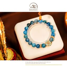 Ngọc Đan Tâm - Vòng Tay Apatite 10mm 2A Phối Charm Sứ Thanh Hoa Đính Ngọc Trai 5