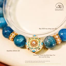 Ngọc Đan Tâm - Vòng Tay Apatite 10mm 2A Phối Charm Sứ Thanh Hoa Đính Ngọc Trai 2