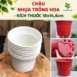 Chậu nhựa chuyên dụng trồng hoa (kích thước 18x14,6cm) shop lấy màu ngẫu nhiên 1
