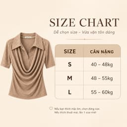 Áo Thun Nữ Evalover Cộc Tay Mã 301 Thiết Kế Cổ Đổ Phối Sơ Mi Cotton Nhật Mềm Mát 9
