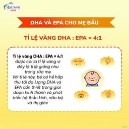 [Công Nghệ Nauy] Dầu Cá DHA VivoMega, DHA & Omega 3 Mắt Sáng Trí Nhớ Não Bộ Tốt 5