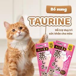 CattyMan Ức Gà Hấp 25g Cho Mèo | Snack Thưởng Thịt Gà Nguyên Miếng Nhập Khẩu Nhật Bản 9