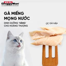 CattyMan Ức Gà Hấp 25g Cho Mèo | Snack Thưởng Thịt Gà Nguyên Miếng Nhập Khẩu Nhật Bản 6