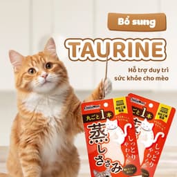 CattyMan Ức Gà Hấp 25g Cho Mèo | Snack Thưởng Thịt Gà Nguyên Miếng Nhập Khẩu Nhật Bản 4
