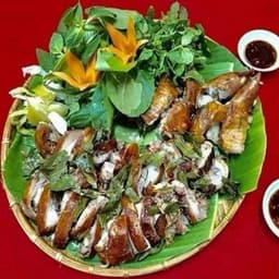 Cây Giống Móc Mật truyền hứng các món ngon 4