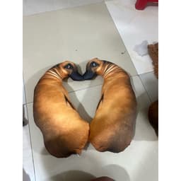 Gà 5d Bắp cải - Món quà độc đáo và bất ngờ 7