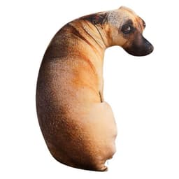 Gấu Bông Chó 3D siêu thực - Món quà độc đáo và bất ngờ mà bạn cần có 1