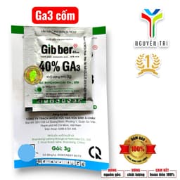 GA3 Tím ProGibb 40% SG (Gói 3gr), Kích Thích Ra Hoa 1