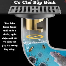 Nắp cống ngăn mùi thông minh. Nắp Chặn Cống Thoát Nước Sàn Nhà Tắm Chống Côn Trùng Chống Mùi Hôi Tiện Dụng 8