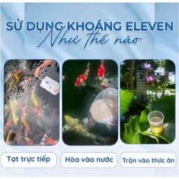 Khoáng Eleven Natural Mineral, khoáng cho cá cảnh, tép cảnh, khoáng vi sinh, khoáng Cá Koi 9