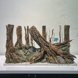 Layout Rừng Ver.20 | Nghệ Thuật Tái Tạo Cảnh Quan Tự Nhiên | Điểm Nhấn Cho Bể Cá | RF Aquarium 4