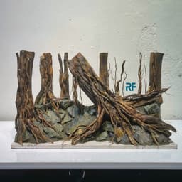 Layout Rừng Ver.20 | Nghệ Thuật Tái Tạo Cảnh Quan Tự Nhiên | Điểm Nhấn Cho Bể Cá | RF Aquarium 3