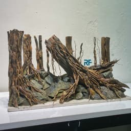 Layout Rừng Ver.20 | Nghệ Thuật Tái Tạo Cảnh Quan Tự Nhiên | Điểm Nhấn Cho Bể Cá | RF Aquarium 5