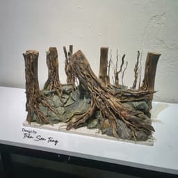 Layout Rừng Ver.20 | Nghệ Thuật Tái Tạo Cảnh Quan Tự Nhiên | Điểm Nhấn Cho Bể Cá | RF Aquarium 2
