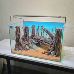 Layout Rừng Ver.19 | Nghệ Thuật Tái Tạo Cảnh Quan Tự Nhiên | Điểm Nhấn Cho Bể Cá | RF Aquarium 5