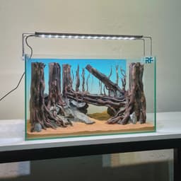 Layout Rừng Ver.19 | Nghệ Thuật Tái Tạo Cảnh Quan Tự Nhiên | Điểm Nhấn Cho Bể Cá | RF Aquarium 6
