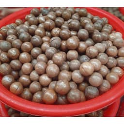 500Gr Hạt macca nứt vỏ size vip đóng hộp. 2