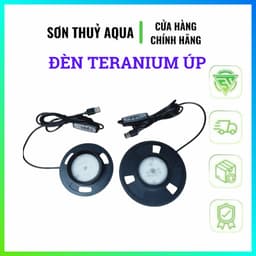 Đèn LED Terrarium 3W 5W Chuyên Dụng Cho Hồ Rêu, Paludarium, Vivarium | Đèn Trồng Cây Mini 2