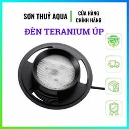 Đèn LED Terrarium 3W 5W Chuyên Dụng Cho Hồ Rêu, Paludarium, Vivarium | Đèn Trồng Cây Mini 3