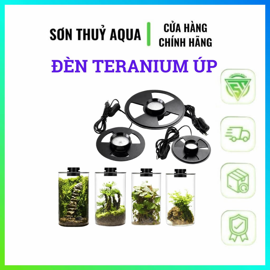 Đèn LED Terrarium 3W 5W Chuyên Dụng Cho Hồ Rêu, Paludarium, Vivarium | Đèn Trồng Cây Mini