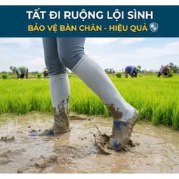 vớ đi ruộng bảo vệ chân dày dặn, dài tới đầu gối 1