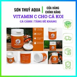 Vitamin C Cho Cá Koi, Cá Cảnh | Tăng Đề Kháng, Giảm Stress, Hỗ Trợ Phục Hồi Sau Thay Nước, Vận Chuyển Và ngừa bệnh 8