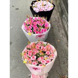 Combo 5 Cụm Hồng Tỉ Muội (hoa giả Hồng SOPHIA) Cành Hoa Hồng Sofia decor phòng khách, phòng làm việc cực xinh 2