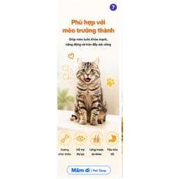 [BAO 20KG]Hạt Cat Licious 20kg Cho Mèo Trưởng Thành | Vị Cá Biển, Dinh Dưỡng Cân Bằng Chính Hãng 8