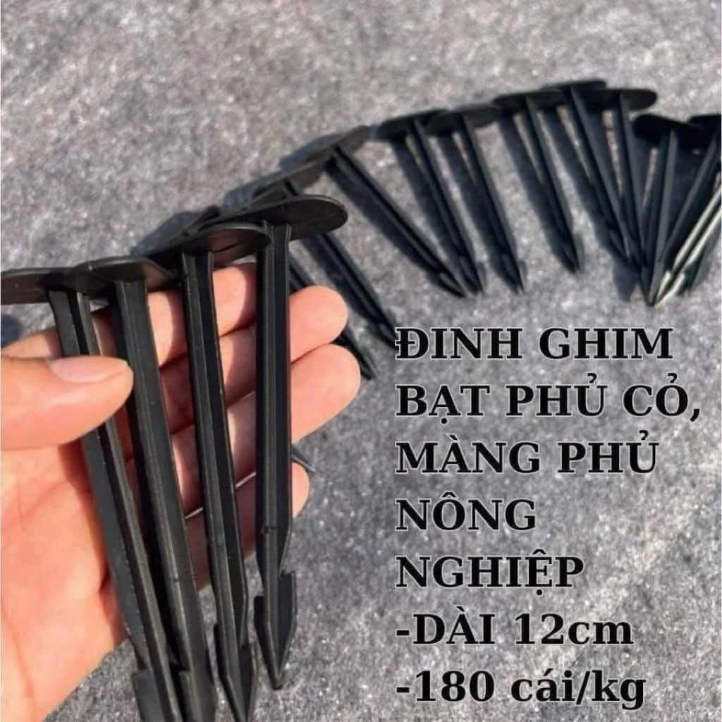 ghim cố định 12cm 1kg( 170-180cái)