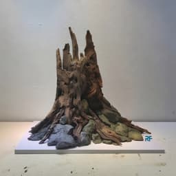 Layout Nhất Trụ Ver.1 l Layout Thuỷ Sinh Thủy Sinh Đa Dạng Kích Thước Được Chế Tác Thủ Công | RF Aquarium 3