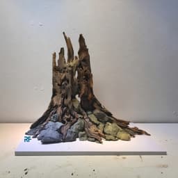Layout Nhất Trụ Ver.1 l Layout Thuỷ Sinh Thủy Sinh Đa Dạng Kích Thước Được Chế Tác Thủ Công | RF Aquarium 4