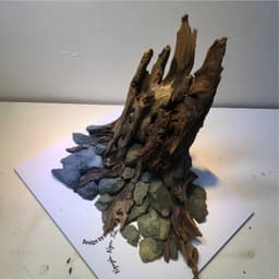 Layout Nhất Trụ Ver.1 l Layout Thuỷ Sinh Thủy Sinh Đa Dạng Kích Thước Được Chế Tác Thủ Công | RF Aquarium 2