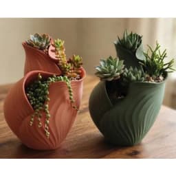 Chậu Cây Nhiều Ngăn 3DLUXI, Trang Trí Bàn Làm Việc, Bàn Học, Phòng Khách, Ban Công, In Từ Nhựa PLA/PETG An Toàn 3