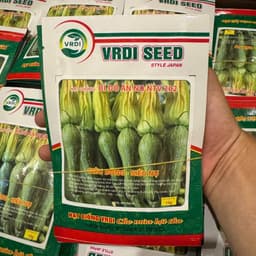 [Gói To 10g] Hạt giống Bí Siêu Nụ Cao Sản F1 Chịu Nhiệt, Siêu Năng Suất, Trồng Quanh Năm - Hạt Giống Nhà Nông 2