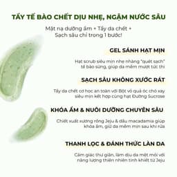 Tẩy Tế Bào Chết mặt ARUMORE Jeju Scrub Mask Xương Rồng Jeju 30G 3
