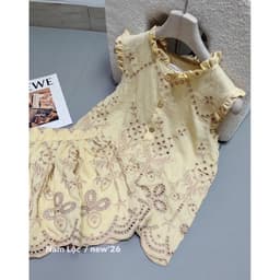 Set bộ đũi thêu cao cấp áo không tay kèm chân váy phong cách tiểu thư sang điệu đà hàng l1 SALE 7