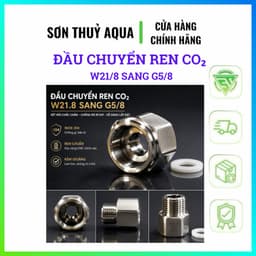 Đầu Chuyển Ren CO₂ W21.8 Sang G5/8 Inox 304 CNC Kèm Gioăng – Chuyển Đổi Ren Bình CO₂ Chuẩn 3