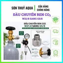 Đầu Chuyển Ren CO₂ W21.8 Sang G5/8 Inox 304 CNC Kèm Gioăng – Chuyển Đổi Ren Bình CO₂ Chuẩn 1