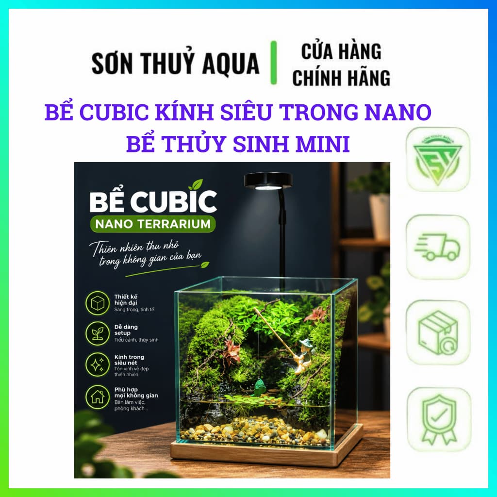 Bể Cubic Kính Siêu Trong | Bể Thủy Sinh Mini | Hồ Cá Betta | Bể Tép Cảnh | Terrarium